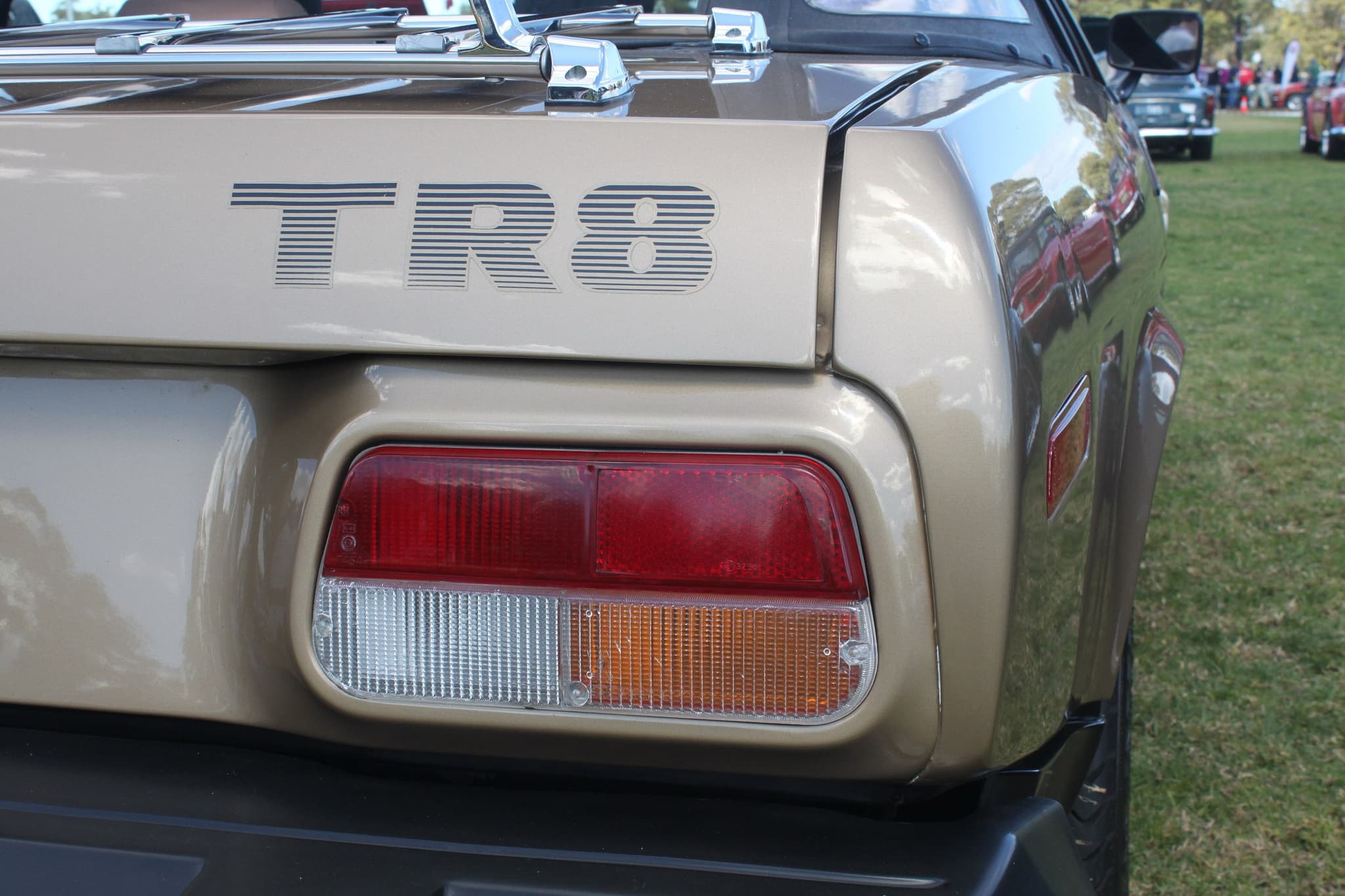 Close-up of a champagne car's tail: a striped TR8 decal on the boot lid, a chrome luggage rack and a tail-lamp cluster.