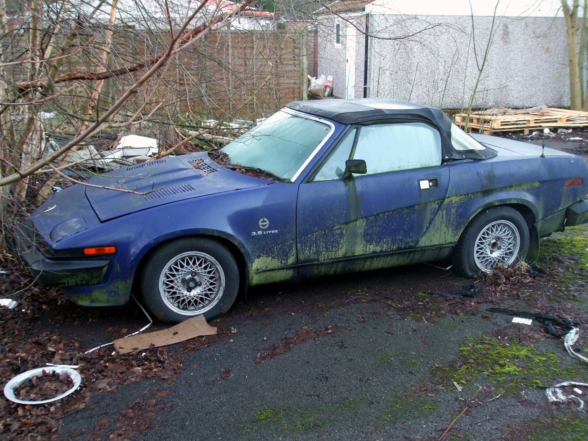 A dark blue wedge convertible streaked with moss and algae, leaves in its louvres, abandoned among saplings.