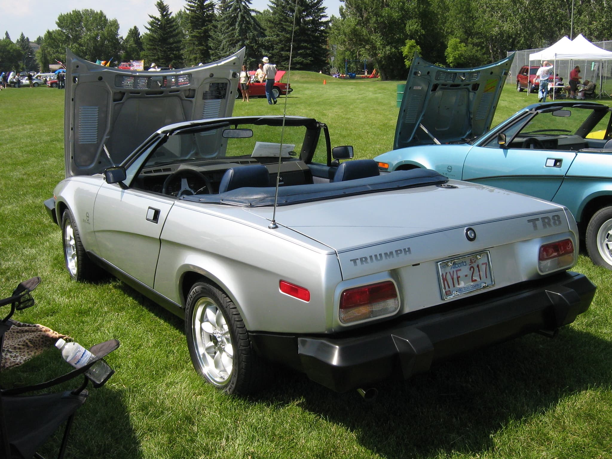 A silver TR8 convertible from behind with its top down and bonnet raised, TRIUMPH and TR8 lettering on its tail, on a show lawn. Opens a larger view